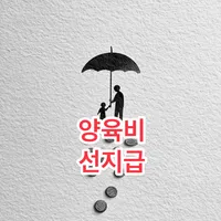 양육비 선지급 신청방법 2025년 완벽 가이드 | 월 20만원 지원 받는 법